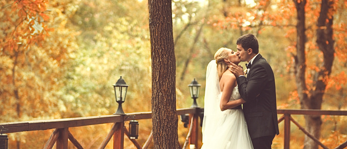 Beso, parque, otoño, boda, novios